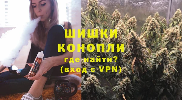 PSILOCYBIN Заволжье