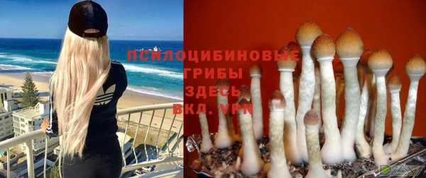 PSILOCYBIN Заволжье