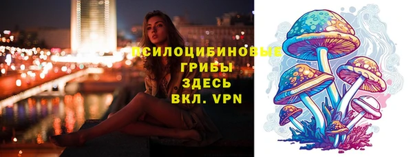 PSILOCYBIN Заволжье