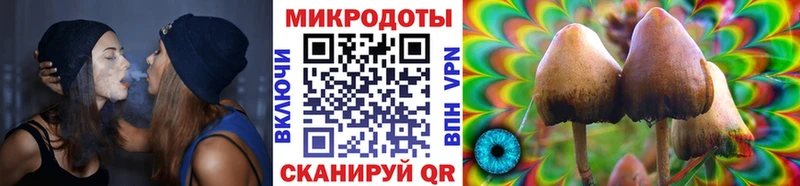 Псилоцибиновые грибы прущие грибы мега зеркало Чухлома где купить наркоту